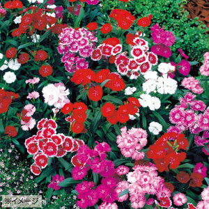  qi_CATXjF1eX^[ 1܁y^LCczH܂