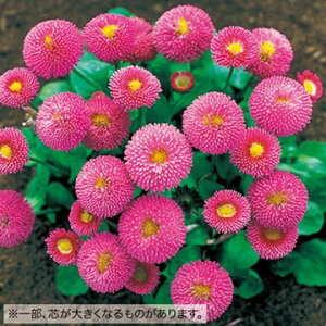  f[W[ ^b\[sN 1܁y^LCczH܂