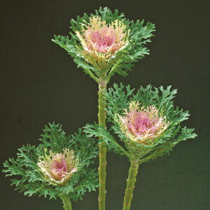  tO F1tFU[ zCg 1܁y^LCczH܂