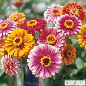  WjAiSjz[MO 1܁y^LCczt܂