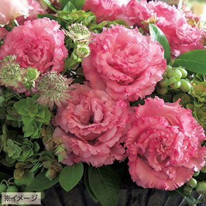  gRLLEi[Xg}jF1v}3^[ 1܁y^LCczt܂ H܂