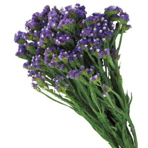  j[iX^[`XjQIS y[u[ 1܁y^LCczH܂