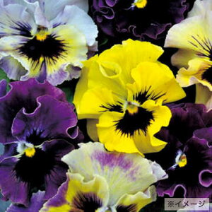  pW[ F1tYVY~j ~bNX 1܁y^LCczH܂