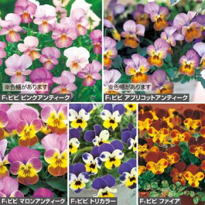 F1ビビ ビオラ E 種や 国内最大級の野菜種 花種 苗 農業資材の販売店 ベジタブルガーデン ハラダ花の種 営利用 ビオラ F1ビビ系 F1ビビ クリアオーシャン 1000粒 10 クリスタルコート種子 タキイ種苗 Abracce Com Br