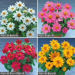  WjAiSjx[Yiԃ^ljZbg 1gy^LCczt܂