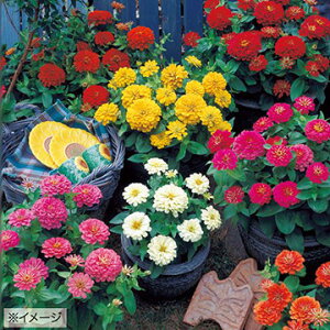  WjAiSjF1h[h 1܁y^LCczt܂