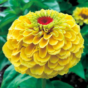  WjAiSjENC[ s[` 1܁y^LCczt܂