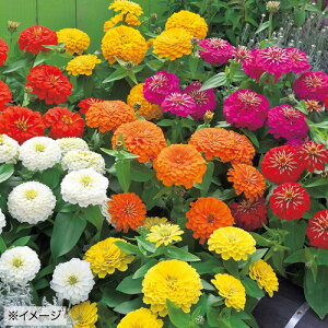  WjAiSjEF1vVI[T v~A~bNX 1܁y^LCczt܂