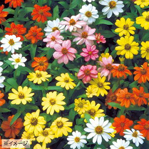  WjAiSjUn~bNX 1܁y^LCczt܂