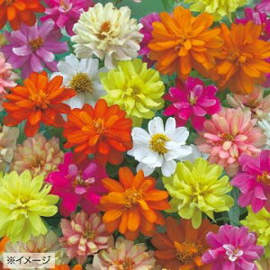  WjAiSjUn_u~bNX 1܁y^LCczt܂