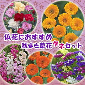 楽天市場 秋 まき 花 の 種セットの通販