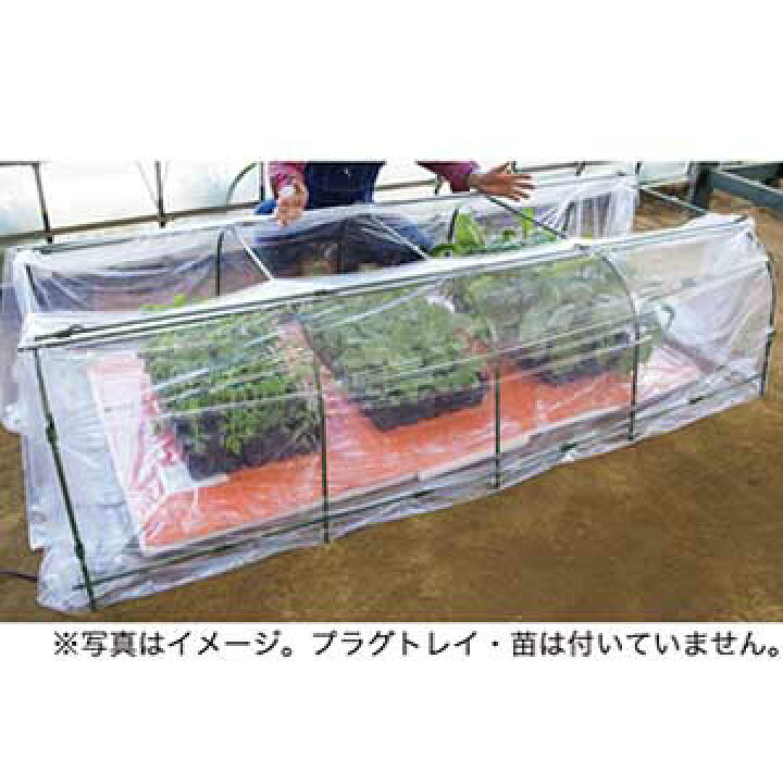 楽天市場】【送料無料】タキイ種苗 生産資材 通販 保温育苗 