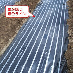 ^LCc }`E핢 ʔ́@}` VR@0.95×10m@@1gi3j
