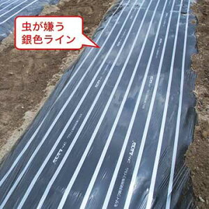 ^LCc }`E핢 ʔ́@}` VR 0.95×50m@@1gi2{j