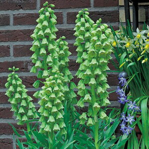  t`A@yVJ@AC{[xY 1y^LCczHA