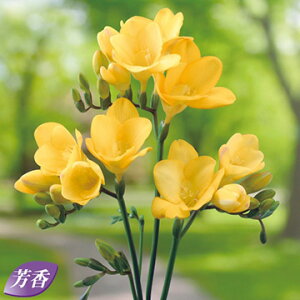  d炫t[WA AW 10y^LCczHA