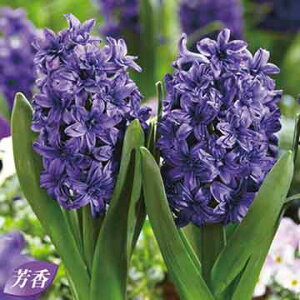  d炫qVX }nb^ 3y^LCczHA