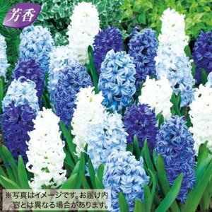  qVX u[zCg ~bNX 10y^LCczHA