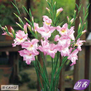  炫OWIX `[~Ow[ 10y^LCczHA