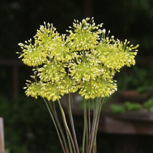  A[ CG[t@^W[ 5y^LCczHA