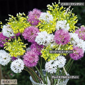  A[E3F~bNX 15y^LCczHA