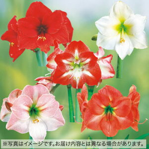 y\z ֍炫A}X@~bNX 5y^LCcztA