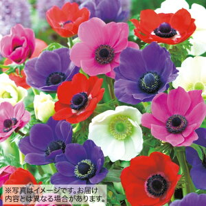  |s[炫All Jt ~bNX 10y^LCczHA
