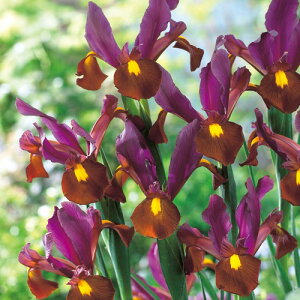  _b`ACX@bhGo[ 10y^LCczHA