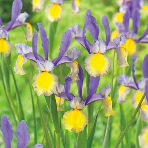  _b`ACX@~XTCS 10y^LCczHA