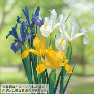  _b`ACX ~bNX 20y^LCczHA