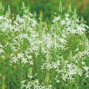  I[j\KE|eBN@\` 3y^LCczHA