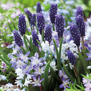  K[fRNVEXvOK[f 15y^LCczHA