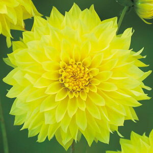 y\z ֍炫_AE̎g 1y^LCcztA