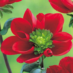 y\z ֍炫_AEbhx 1y^LCcztA