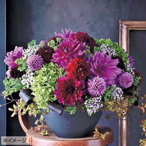 y\z _AELfB[~bNX@`Fn 5y^LCcztA