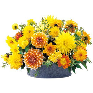 y\z _AELfB[~bNX@Fn 5y^LCcztA