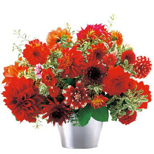 y\z _AELfB[~bNX@ԐFn 5y^LCcztA