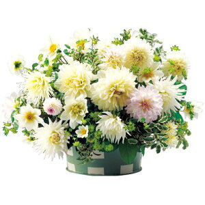 y\z _AELfB[~bNX@Fn 5y^LCcztA