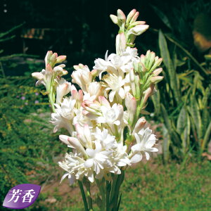 y\z `[x[YEd炫 5y^LCcztA