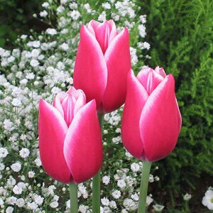  `[bv [EBh[ 4y^LCczHA