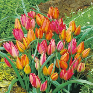  n`[bvEg ~bNX 15y^LCczHA