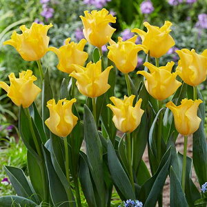  `[bv LOXNE 4y^LCczHA