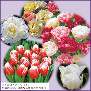  d炫`[bvv炢 Zbg 1gy^LCcz