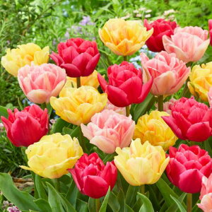  `[bvEd炫Jt~bNX 12y^LCczHA