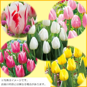  d炫`[bv v炢Zbg 1gy^LCcz