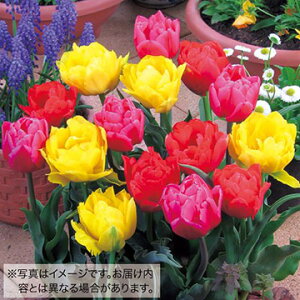  `[bv d炫`[bv ~bNX 15y^LCczHA