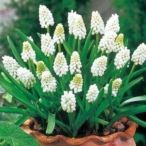  XJ I[P zCg}WbN 10y^LCczHA