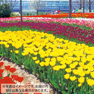  `[bv W炫勅 ~bNX 20y^LCczHA