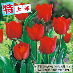  `[bv勅 ԐF 20y^LCczHA