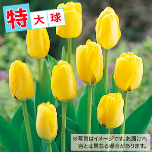  `[bv勅 F 20y^LCczHA